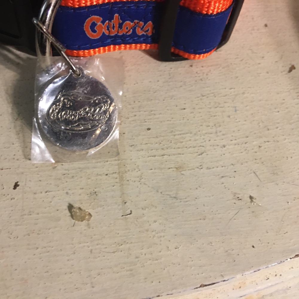 Florida gators dog collar new never used medium size dog